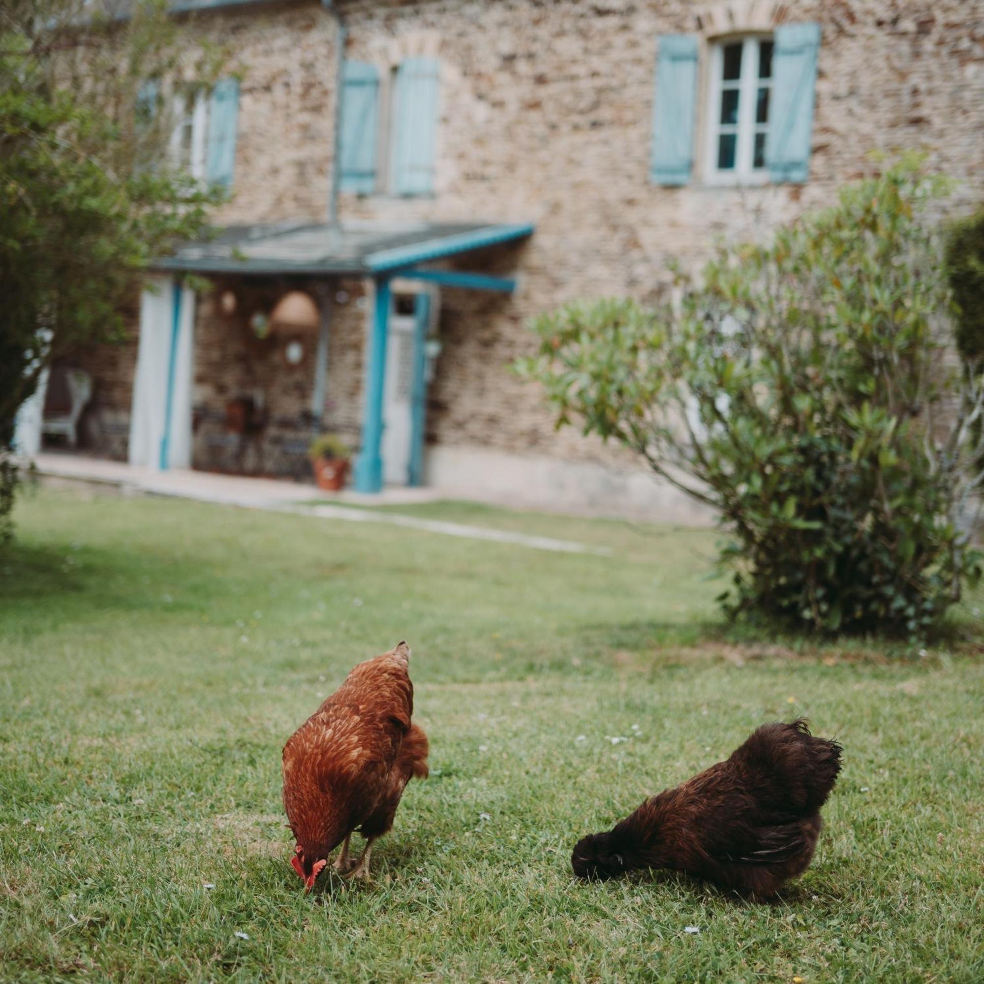Domaine De La Fauvriere Hotel Sainte-Honorine-de-Ducy Luaran gambar